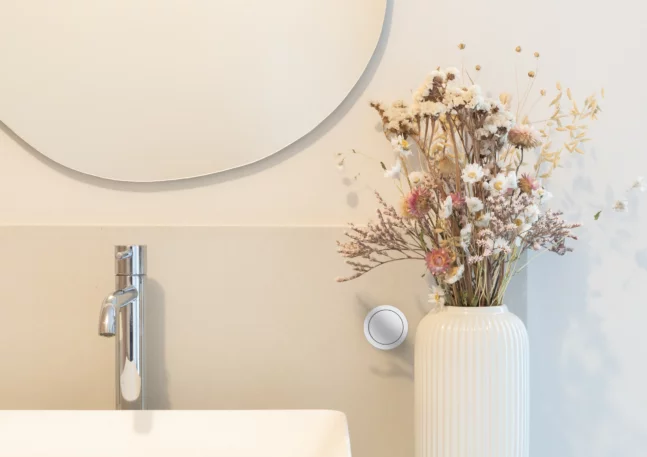 Mira Mira Kwantz Zele 22