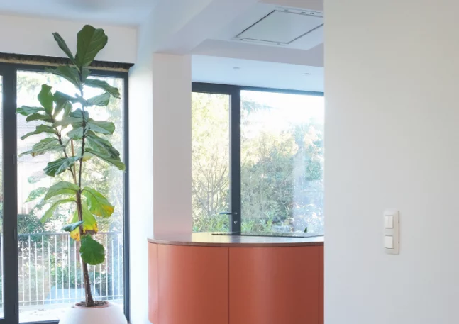 Dries otten STARDUST 2 lowres 2